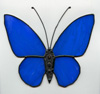 Schmetterlinge