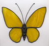 Schmetterlinge