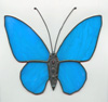 Schmetterlinge