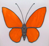 Schmetterlinge