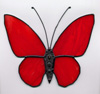 Schmetterlinge