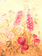 Aquarell